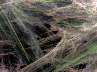 Similar image 10019326