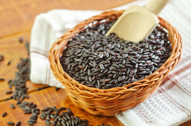 Similar image 10020156