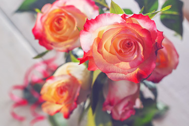 Similar image 10020178