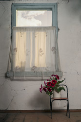 Similar image 10020184