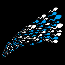 Similar image 10022355