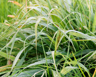 Similar image 10035385