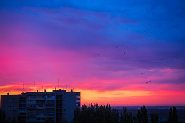 Similar image 10035412