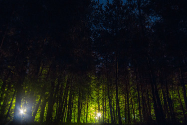 Similar image 10035418