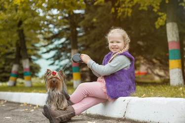 Similar image 10036319