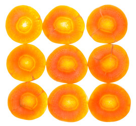 Similar image 10037235