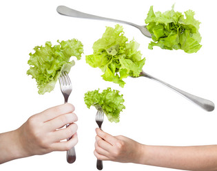 Similar image 10037529