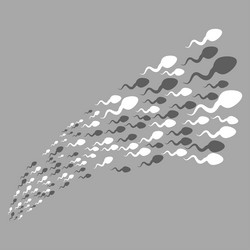 Similar image 10038919