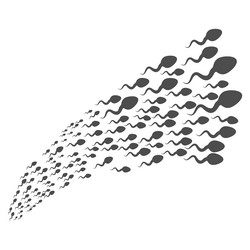 Similar image 10039979