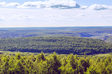 Similar image 10041064