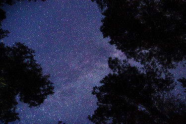 Similar image 10042461