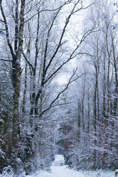 Similar image 10042712