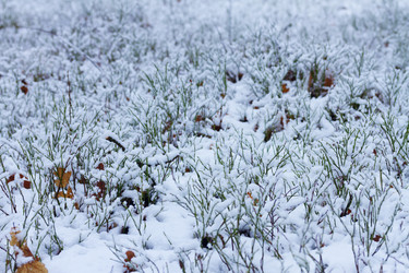 Similar image 10042714