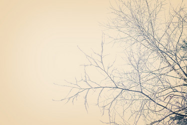 Similar image 10042716