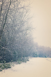 Similar image 10042718