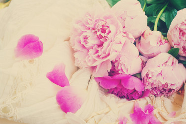 Similar image 10042858