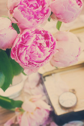 Similar image 10042862