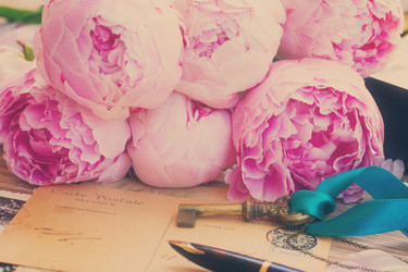 Similar image 10042869