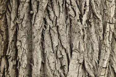 Similar image 10045458