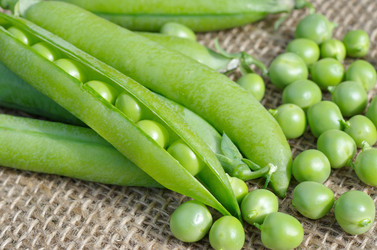 Similar image 10048388