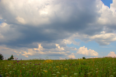 Similar image 10048392