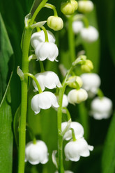 Similar image 10048404