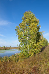 Similar image 10048405