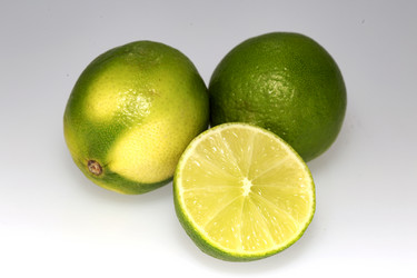 Similar image 10048419