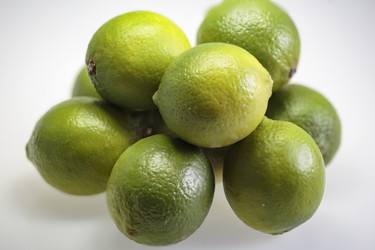 Similar image 10048420