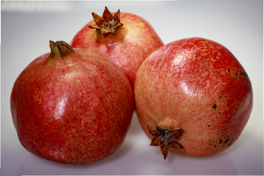 Similar image 10048422