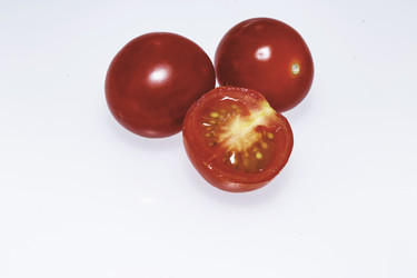 Similar image 10048426