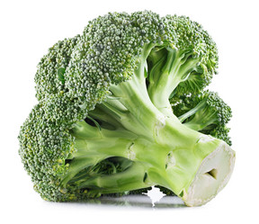 Similar image 10048437