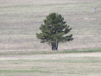 Similar image 10048440