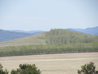 Similar image 10048441