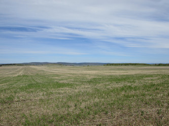 Similar image 10048442