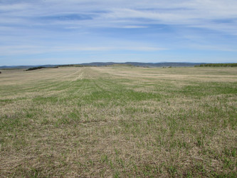 Similar image 10048443