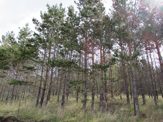 Similar image 10048446