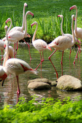 Similar image 10048475