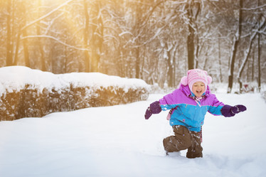 Similar image 10048481