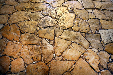 Similar image 10048508