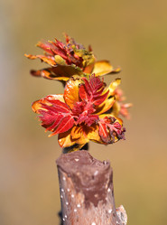 Similar image 10048514