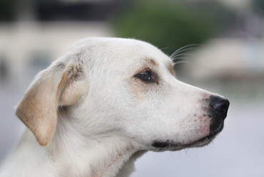 Similar image 10048517