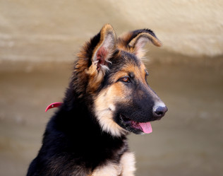 Similar image 10048519