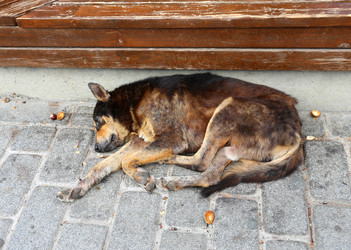 Similar image 10048553