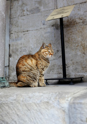 Similar image 10048555