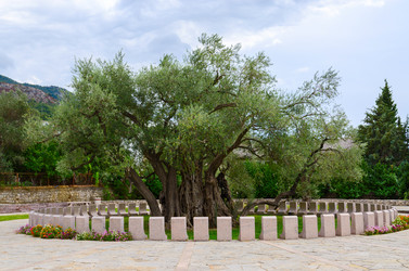 Similar image 10048686