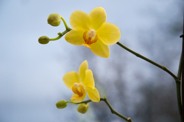 Similar image 10048689