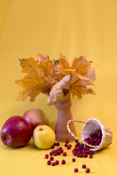 Similar image 10048696