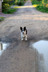 Similar image 10048706