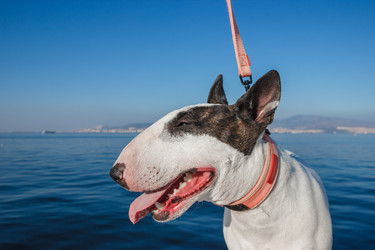 Similar image 10048713